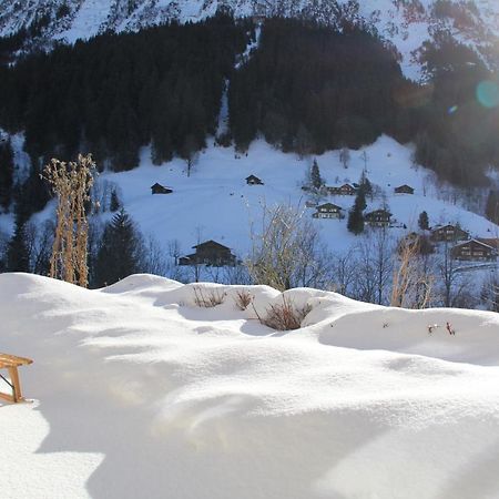 Chalet Pfingsteggblick Grindelwald Exterior photo