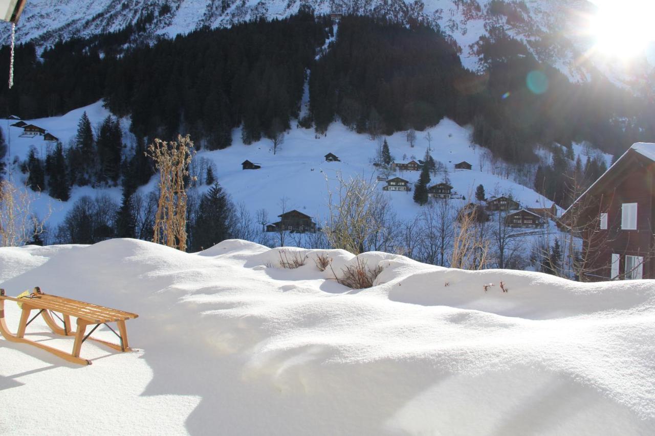 Chalet Pfingsteggblick Grindelwald Exterior photo
