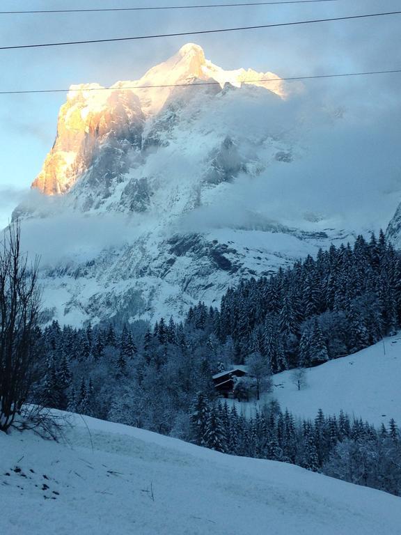 Chalet Pfingsteggblick Grindelwald Exterior photo