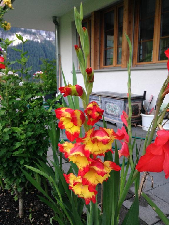 Chalet Pfingsteggblick Grindelwald Exterior photo